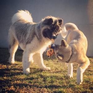 Meet your Posher, Tracey